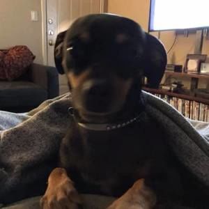 Meet your Posher, Tracy